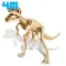 4M科學考古Tyrannosaurus Rex Skeleton挖掘暴龍00-03221霸王龍化石骨骼兒童教育用《榮獲澳大利亞獨立玩具專家-銀牌獎》