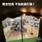 『短期促銷賣場』通用款紗門 免彎腰 磁吸式自動關門 適用多款隧道帳 贈收納袋 現貨不用等 帳篷紗門 紗網