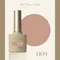 ARTiS di Voce 彩色甲油膠8g 009