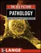 Pathology: The Big Picture (IE)