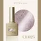 ARTiS di Voce 貓眼甲油膠8g CE025