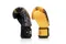 FAIRTEX 龍鳳呈祥 龍 鳳凰 拳擊 泰拳 拳套