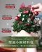 🔥熱賣NO.1🔥聖誕小樹/小花圈【材料包】