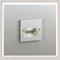 〖鹿屋燈飾 台中指定代理〗ODELIC 5W Ø10cm 戶外用 梯腳燈 防潮防眩光款｜日亞LED｜一年保固｜歐德立克