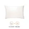 【官網限定預購 8/20-9/15 】COCO-MAT 能量精華枕，九種睡法自由配