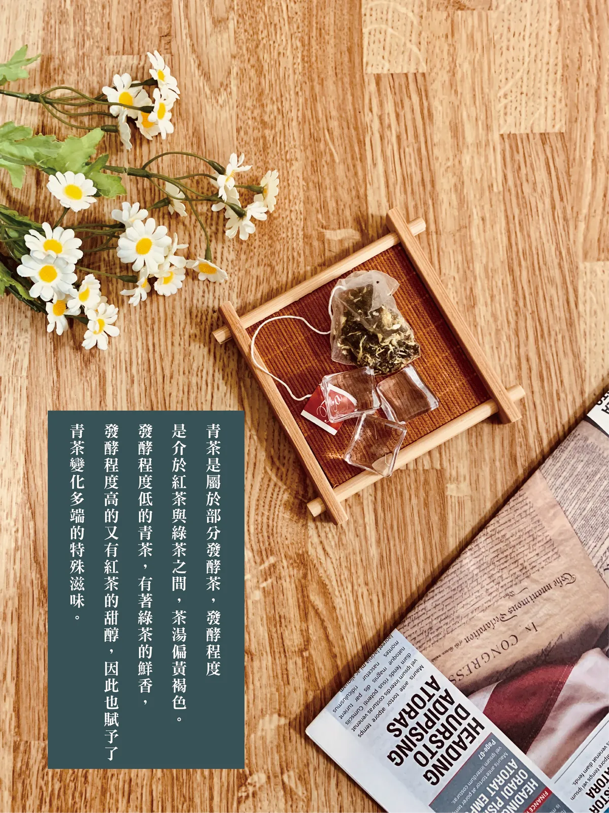 菊花青茶| 4公克X 10入三角立體茶包| Chrysanthemum Oolong Tea