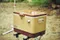 51L【Coleman】 STEEL BELTED核桃黃經典冰箱 CM-21177