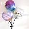 驚喜氣球：星宿生日球束[DW200001]