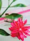 【DIY組合包】緞帶胸花 (Ribbon Brooch -DIY Pack)