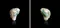 超光連結聖殿騎士團奧地利祖母綠原礦3.05ct
