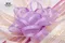 花語之星蝴蝶結(Floral Whisper Star Bow)｜紫色｜星星｜節慶｜禮盒包裝｜裝飾｜緞帶用途｜條紋｜婚禮｜雪紗