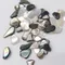 NOVEL Dazzle shells 1406