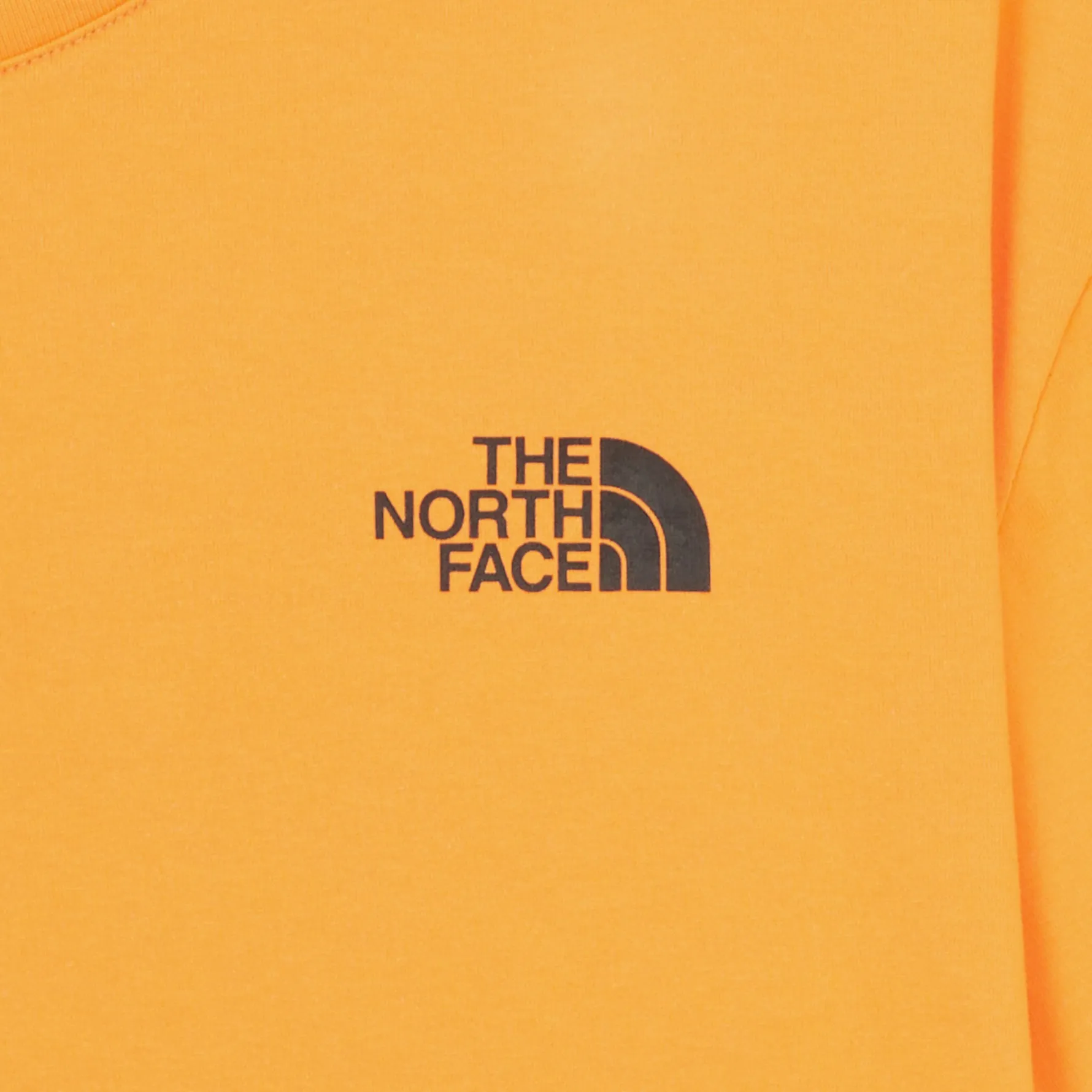 THE NORTH FACE M'S CHARACTER S/S R/TEE 卡通人物寬鬆小標短袖