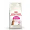 【喵村食堂😊】RoyalCanin皇家貓飼料★貓乾糧 飼料 貓糧★