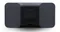 BLUESOUND PULSE MINI 2i