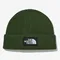 THE NORTH FACE BIG LOGO BEANIE 大LOGO毛帽 NE3BP52