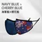海軍藍 奈米高效能防護口罩組 二入組