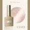 ARTiS di Voce 貓眼甲油膠8g CE021