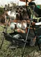 【Camping Bar】瀝水掛架 瀝水籃 吊掛架 置物掛架
