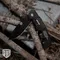【ForestOutdoor】FOTG 黑鋼折刀