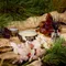 Baltic Amber 波羅的海琥珀 迷你錫缶 香氛蠟燭 - Voluspa