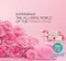 【缺貨】LUX ROSE 玫瑰香皂 100g (4入裝)