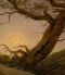 Mellow Coffee Blend Dusk