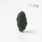 超光速粒子捷克隕石11.23g