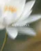 ARTiS di Voce x GANON 香精50ml - 會津芙荷