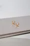 扁圓胖胖耳環 (兩色)