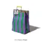 RECYCLED PLASTIC STRIPE BAG / Rectangle D15 / Green x Purple