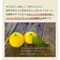 * 現貨 * 日本直送 日本限定 日本製 九州糖漬柚子皮