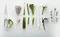 JOSEPH JOSEPH PowerGrip kitchen scissors 可拆式廚房剪刀 #10302