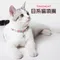 Touchcat | 日系復古寵物項圈