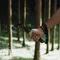 【ForestOutdoor】FOTG FC-X1戰術營鎚  營槌 槌子 鐵鎚 營鎚 露營鎚 露營工具