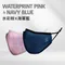 水彩粉 奈米高效能防護口罩組 二入組