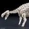 PLANNOSAURUS 06 甲龍 Ankylosaurus 恐龍組裝模型 Bandai