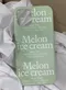 the Exquisite Archive－Melon ice cream Case：Melon淺果綠手機硬殼
