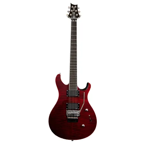 PRS SE TORERO 限定バードインレイ仕様　※破損有り Paul Reed Smith (PRS) エレキギターSE TORERO B Gray Black
