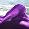 超光圍巾「紫」