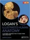 Logan's Illustrated Human Anatomy: An pictorial introduction to Basic form and Structure