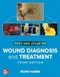 Text and Atlas of Wound Diagnosis and Treatment