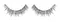 日本粧美堂SHOBIDO自然風日系森林風裸妝假睫毛PT43629黑色(5對入;長0.5公分;上眼睫毛用;手工製)