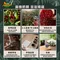 【皇家培育咖啡豆】Café Amazon 經典濾掛水洗咖啡(中深焙)5包入