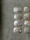 【包套優惠】PRESTO 彩色凝膠 BT031-BT036
