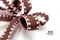 四色點點蝴蝶結 (W789Four-color Polka Dot Butterfly Bow) ｜手作｜布置｜秋天｜緞帶用途｜聖誕