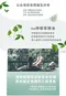 平安皂200g｜素顏之本｜洗手｜洗臉｜洗澡｜艾草｜抹草｜芙蓉｜香氛｜肥皂