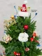 A9-11│聖誕樹│新北市花店│蘆洲花店│送禮盆栽│訂花│送花