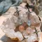 獨家製作/天然礦物 | 荒野赤星/ 耳環/ 瑪瑙海藍寶石榴