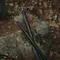[ CARGO ]  伸縮營柱2入3000mm-黑色/沙色/軍綠｜露營營柱 鋁合金6063營柱 3秒安裝 八角形設計 (附收納袋)